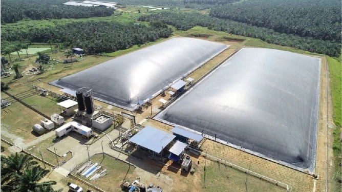3. Sedenak Palm Oil- MU-1