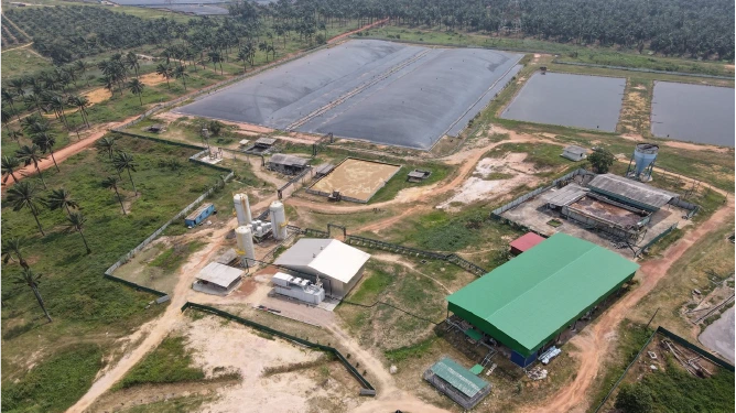 3. Sedenak Palm Oil- MU-2